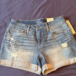 Time and Tru Women's Distressed Jean Shorts